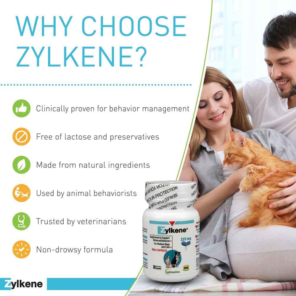 Vetoquinol Zylkene dog relaxing beside owner demonstrates calmer moments.