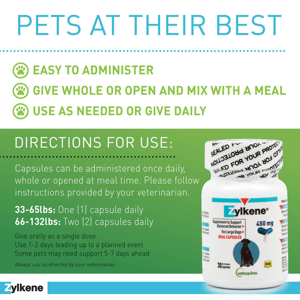 Vetoquinol Zylkene dog enjoying meal with calming supplement for daily stress support