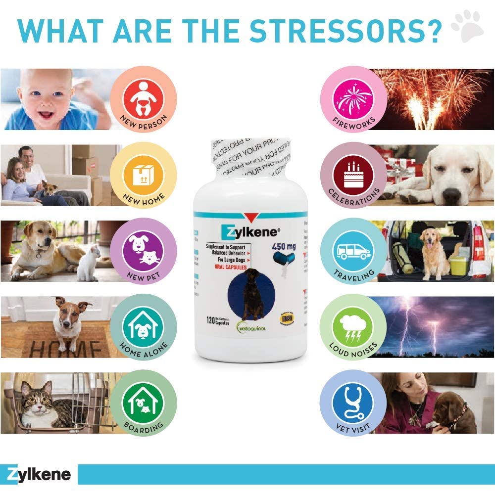 Vetoquinol Zylkene travel pack for dogs suggests convenient daily calming supplementation.