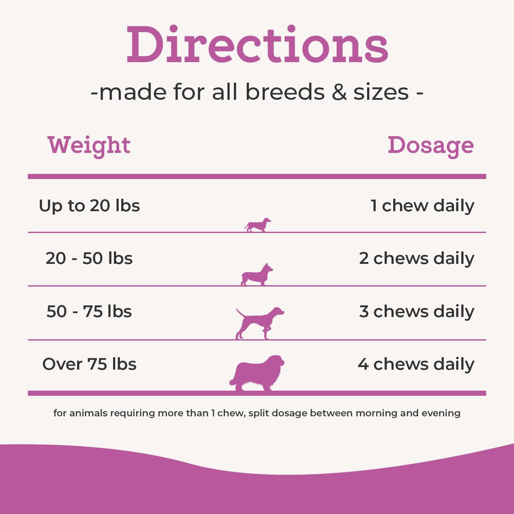 VetPro Complete hip and joint chews bone-shaped bites ready for daily treat