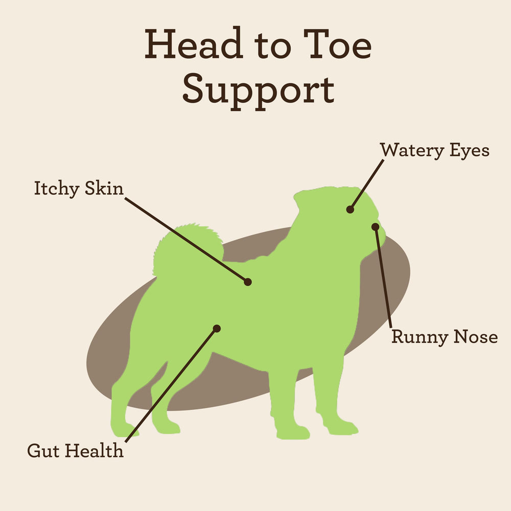 VetPro Complete colostrum label close-up supporting immune system support for dogs