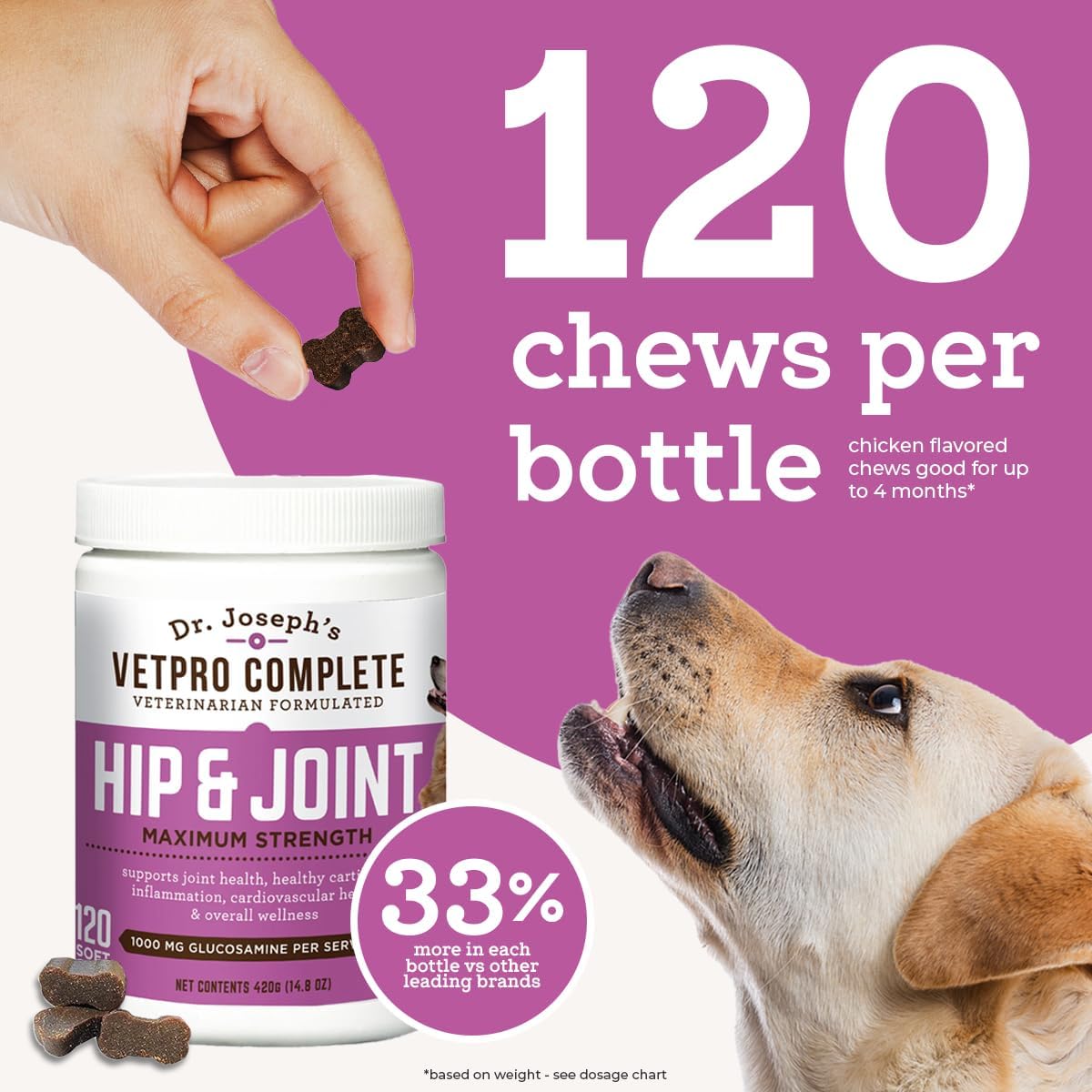 VetPro Complete dog play image shows joint support during activity.
