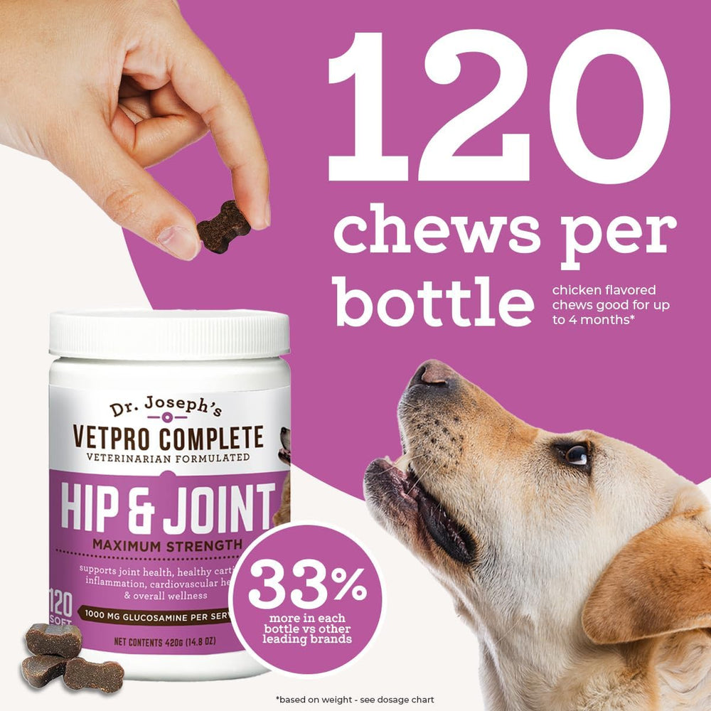 VetPro Complete dog play image shows joint support during activity.