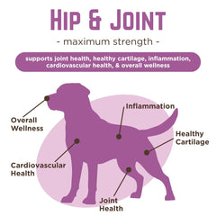 VetPro Complete glucosamine chondroitin turmeric formula bottle highlights inflammation support