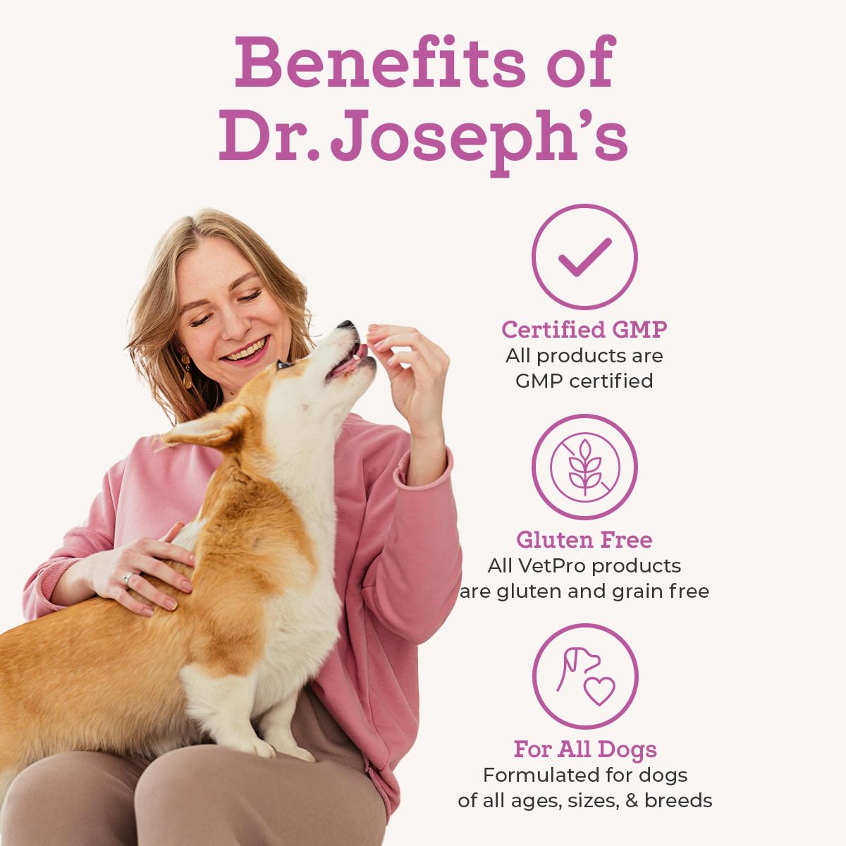 VetPro Complete hip dysplasia info card on image aids owner education.