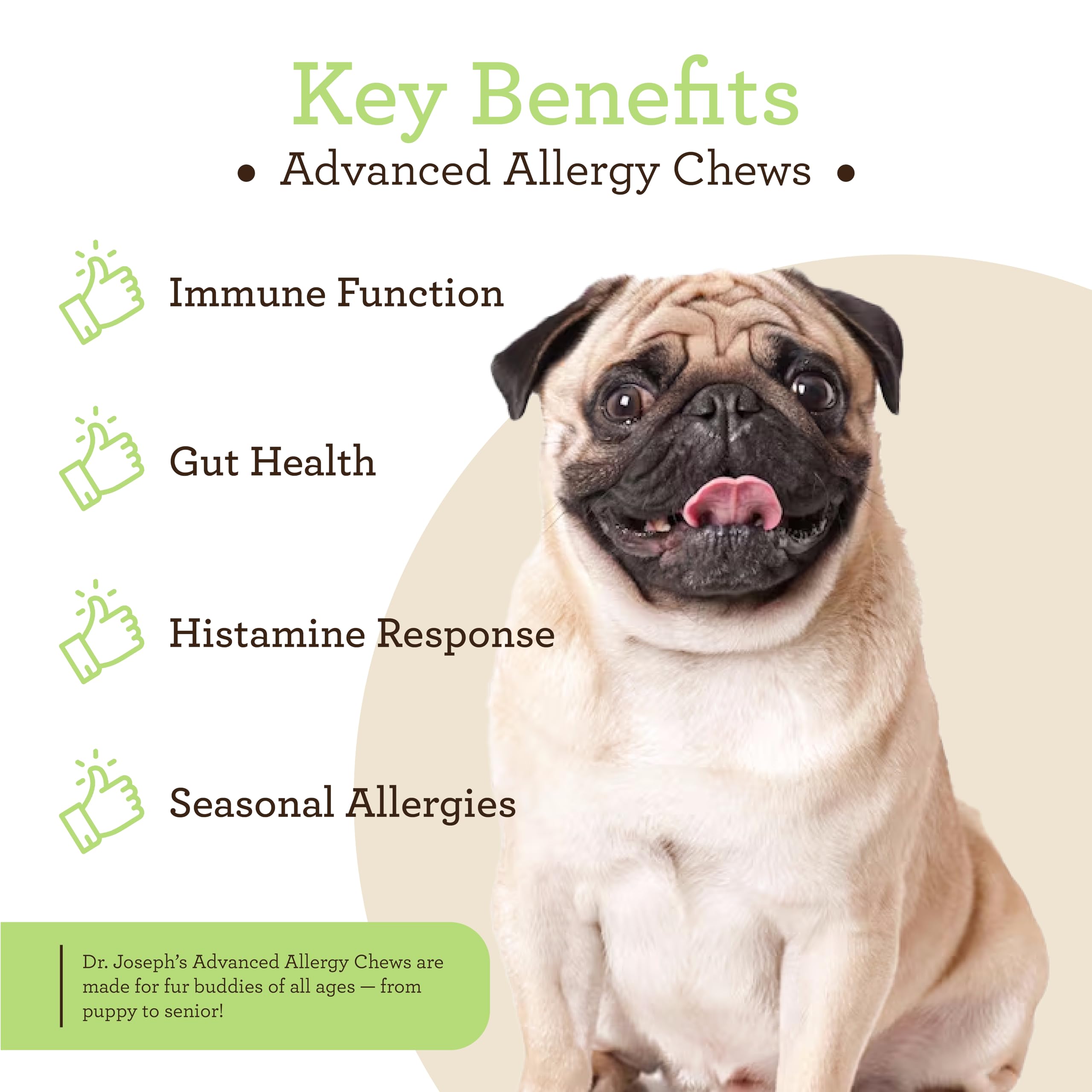 VetPro Complete probiotic chews with dog bowl background for healthy digestion and gut balance