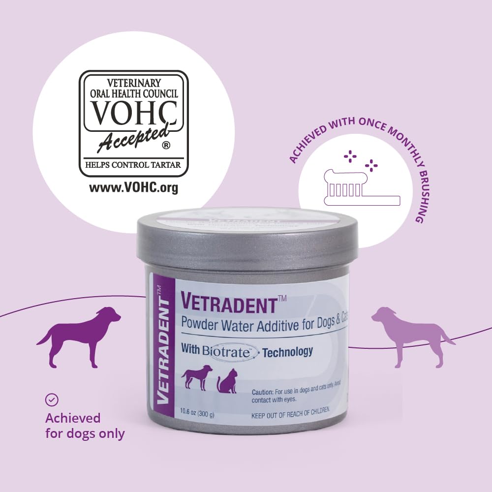 Vetradent powder water additive in cat water bowl supporting routine oral health.