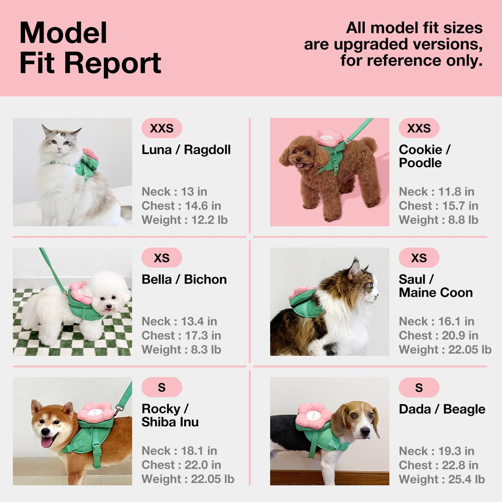 VETRESKA Flora backpack attached to harness during a walk