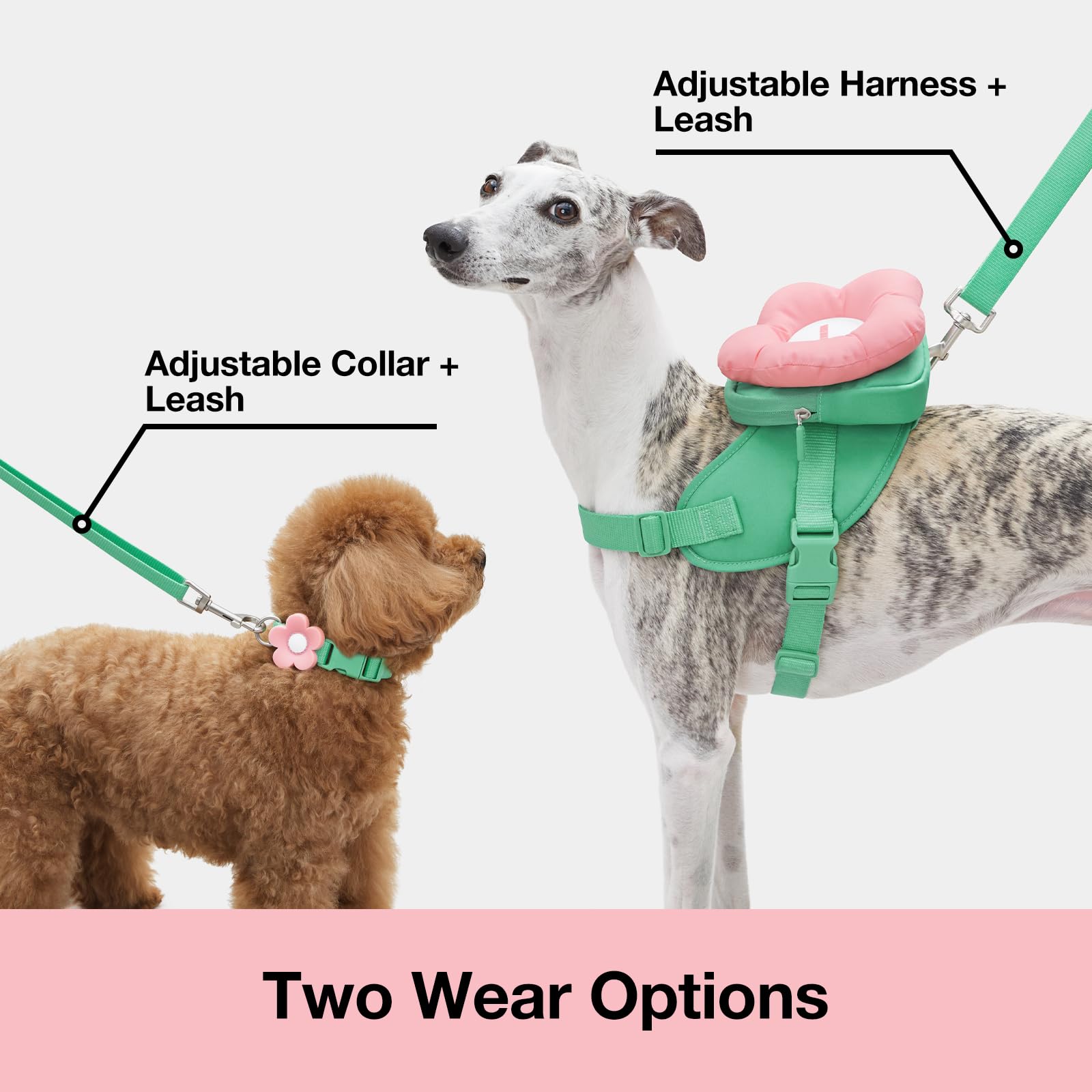 VETRESKA Flora collar ajustable, ajuste cómodo para diferentes medidas de cuello