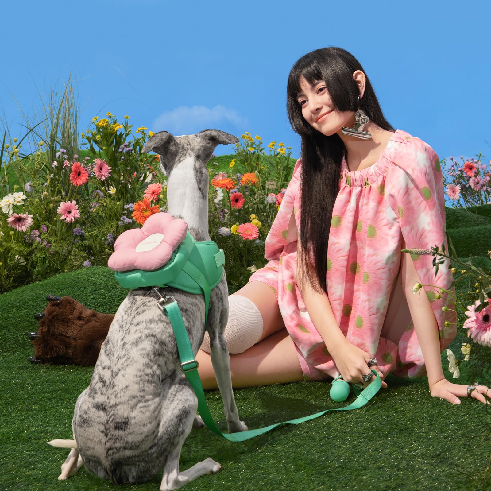 VETRESKA Flora floral backpack design on dog during active walk