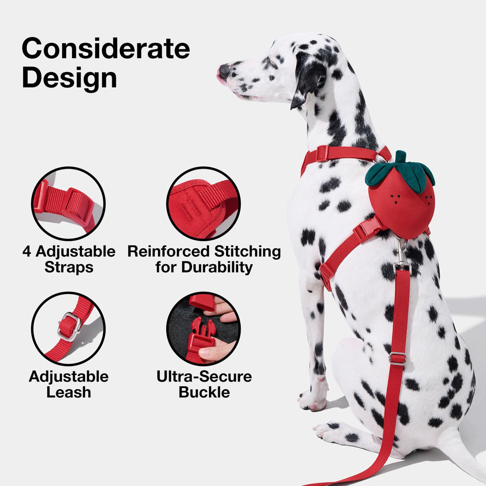 VETRESKA strawberry dog buckle demonstrates sturdy, secure closure for reliable walking.