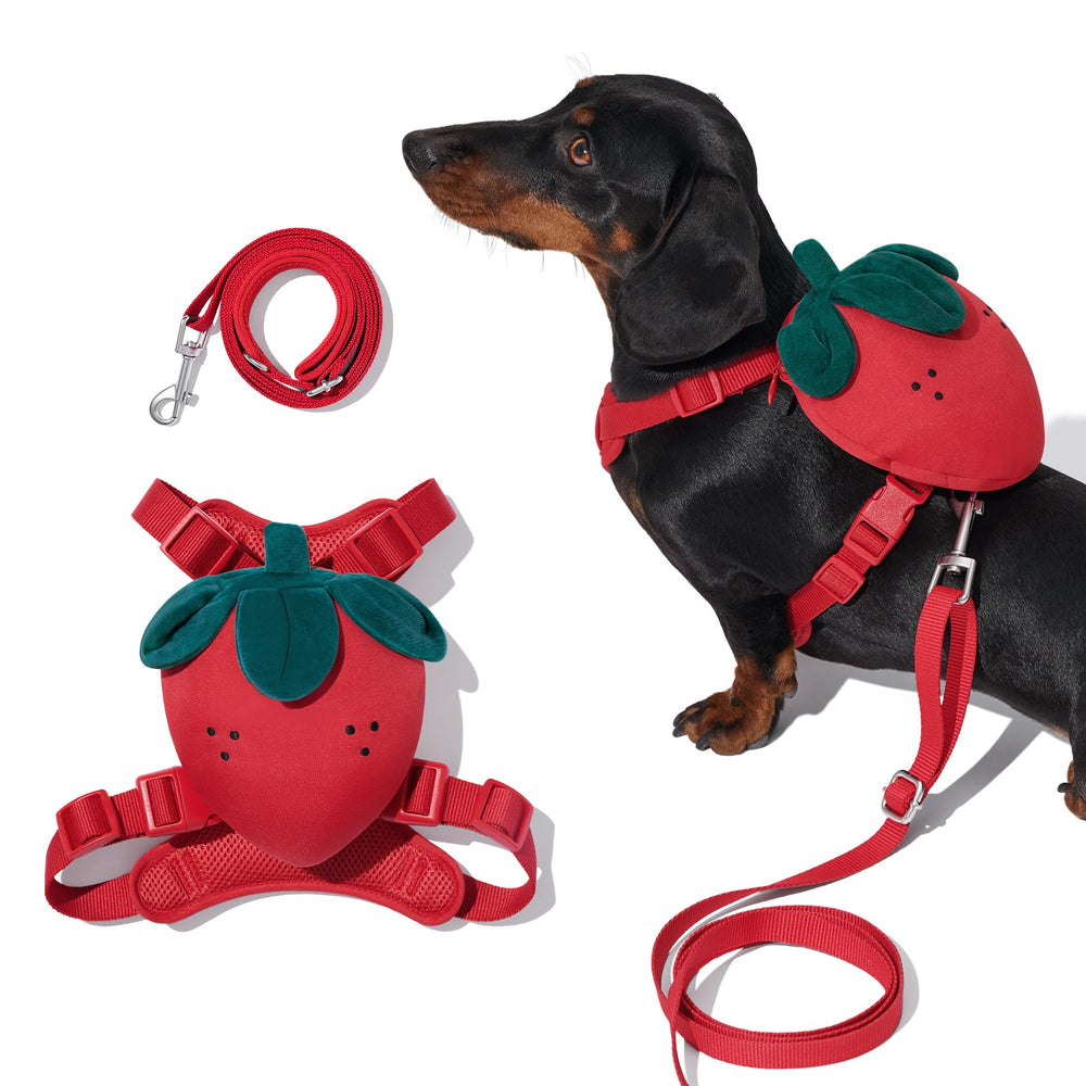 VETRESKA strawberry dog harness XXS showing ergonomic no-pull design for comfortable walks.