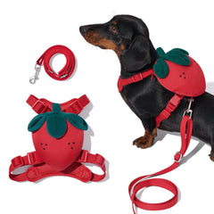 VETRESKA strawberry dog harness XXS showing ergonomic no-pull design for comfortable walks.