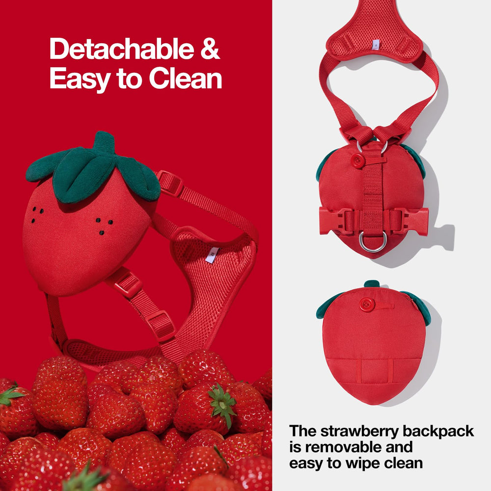 VETRESKA strawberry dog leash with soft neoprene end offers a comfortable grip during long walks.