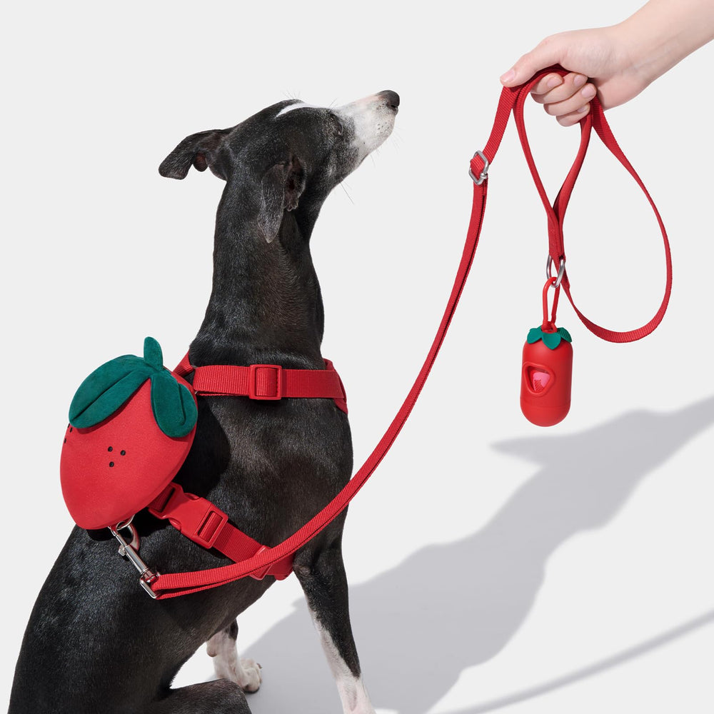 VETRESKA strawberry dog-walk scene shows a small dog enjoying a controlled stroll.