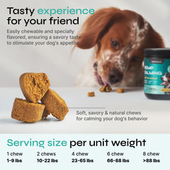 Vetrica calming chews beef treats close-up emphasizes soft texture for easy dosing