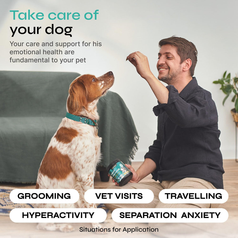Dog enjoying a Vetrica calming chew, illustrating bite-sized reward