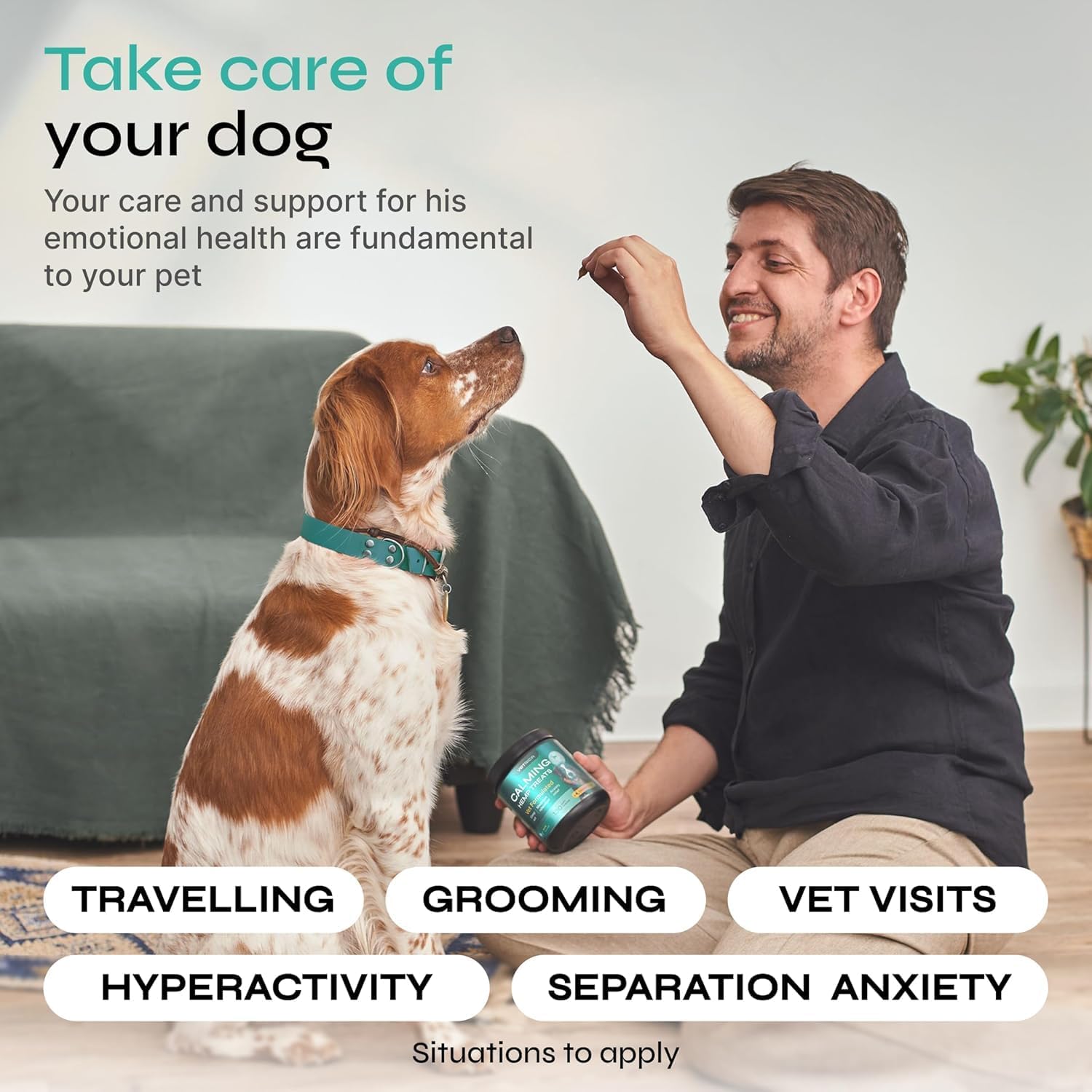 Vetrica Calming Chews dog relaxing during stress triggers