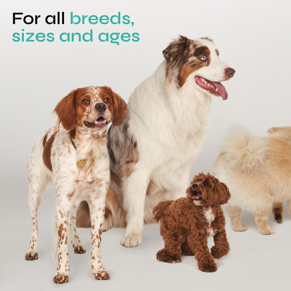 Vetrica calming chews turmeric ingredient highlight suggests anti-inflammatory-rich color in treats
