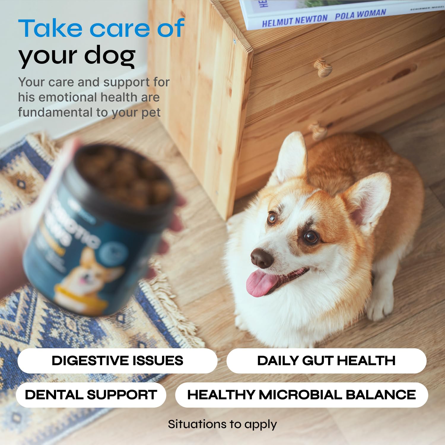Vetrica dog immune support chews closeup on packaging highlights immune system support.