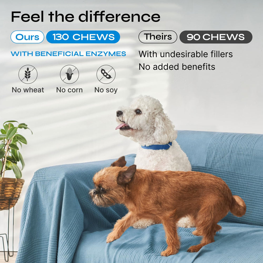 Vetrica probiotic chews texture closeup highlights easy-to-chew form for daily gut support.