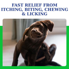 VetriMAX AtopiCream HC leave-in application on dog demonstrates simple, mess-free routine.