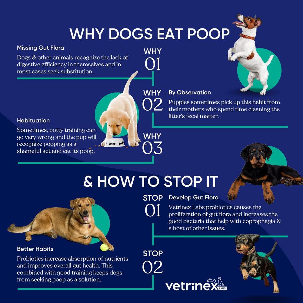 Vetrinex Labs Coprophagia Deterrent powder sprinkled on puppy food during mealtime.