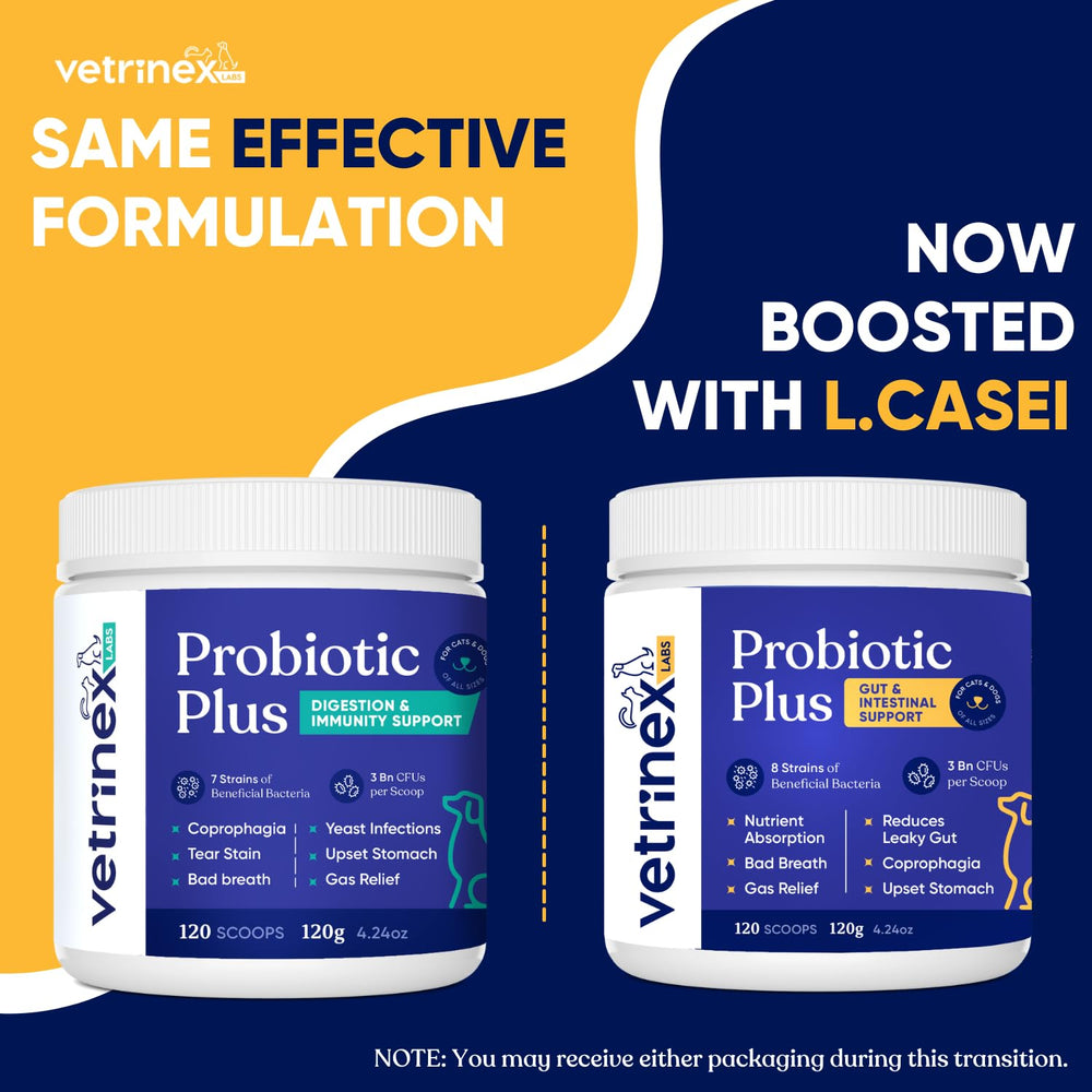 Vetrinex Labs Coprophagia Deterrent powder sprinkled into dog food for easy mixing.