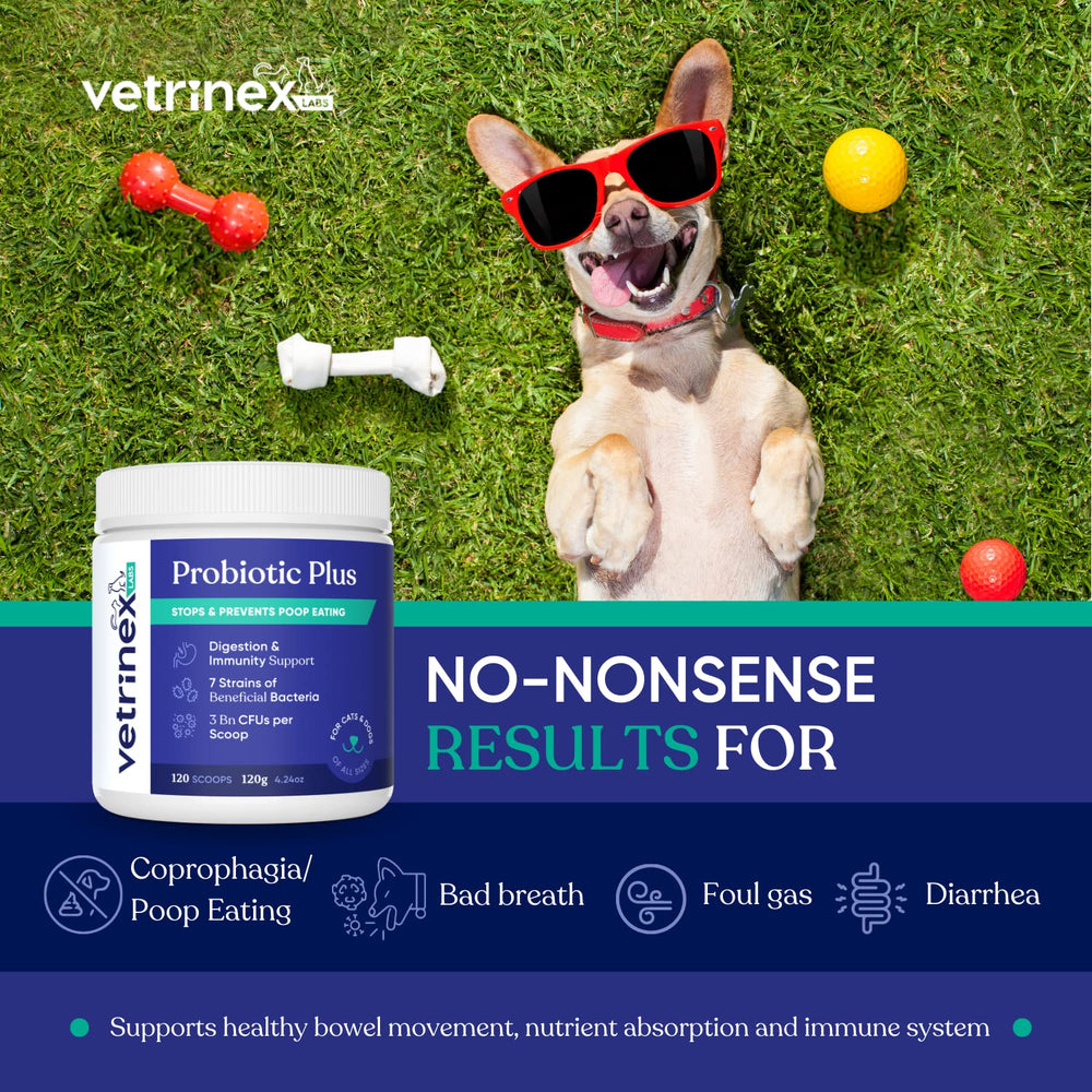 Vetrinex Labs Coprophagia Deterrent powder scoop ready to sprinkle on meals.