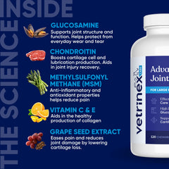 Vetrinex Labs beef-flavored chews presented as tasty daily use.