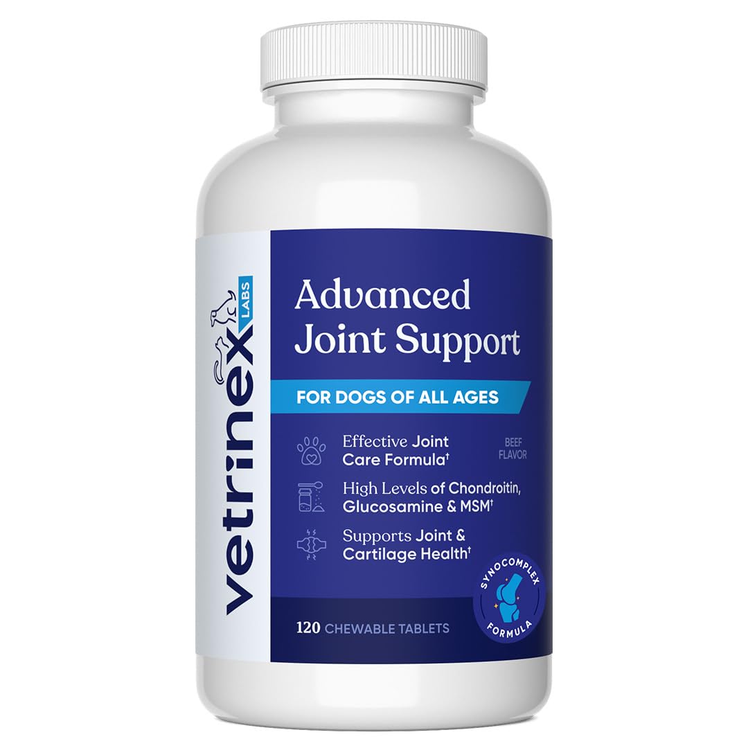 Vetrinex Labs Joint Support bottle front with beef chews for daily feeding.