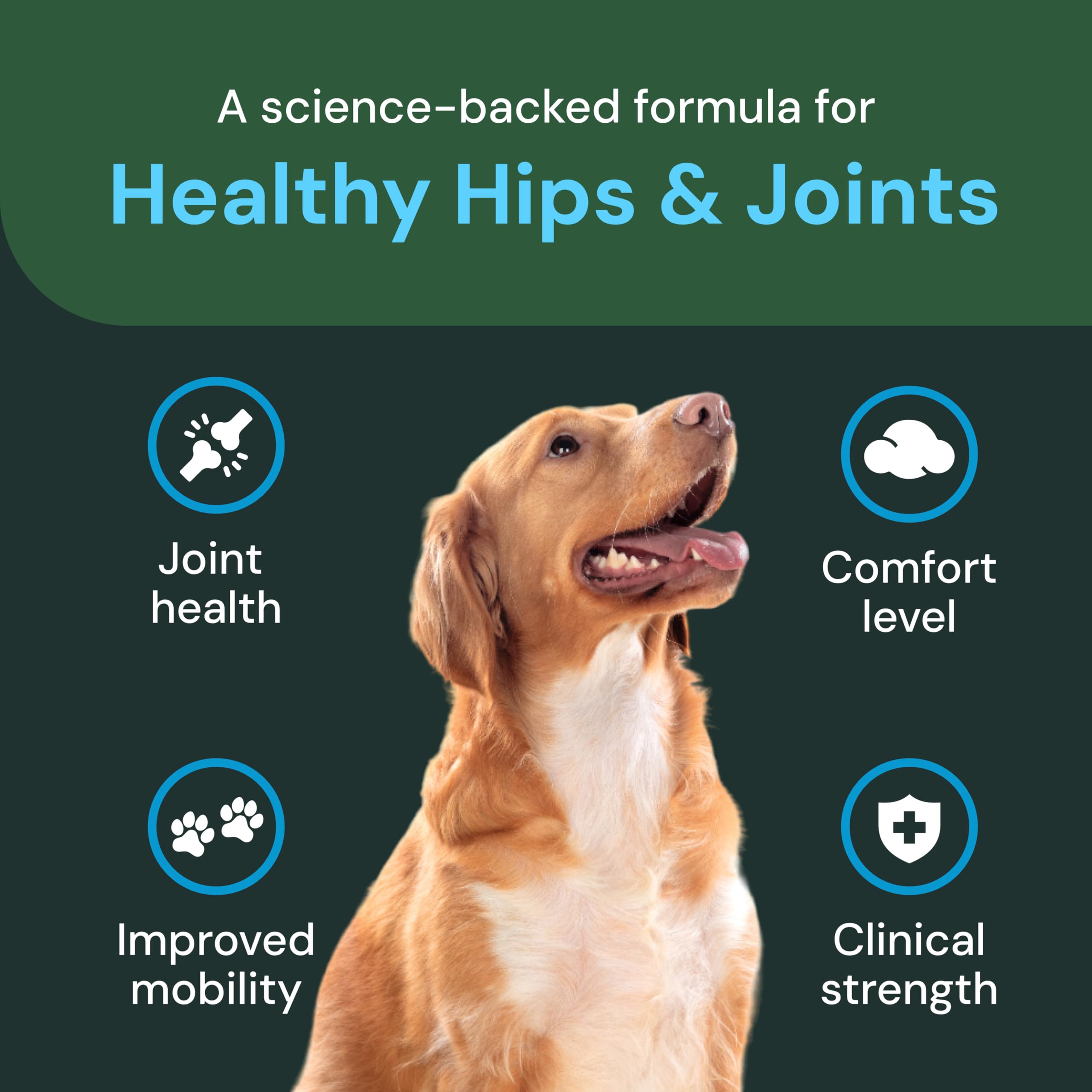VetriScience bottle-label closeup highlights science-backed joint health ingredients.