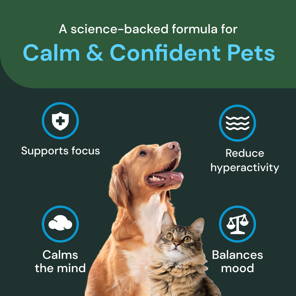 VetriScience Calm & Confident chews texture closeup reveals chewy bite cats may prefer.