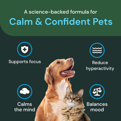 VetriScience Calm & Confident chews texture closeup reveals chewy bite cats may prefer.