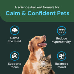 VetriScience cat chews close-up highlighting non-drowsy calming support.