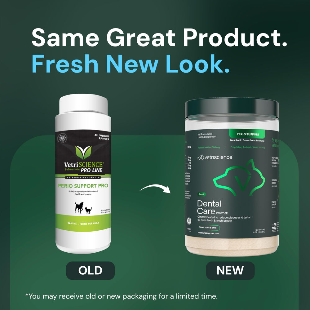 VETRISCIENCE Dental Care Powder in a meal bowl, easy to add to daily feed