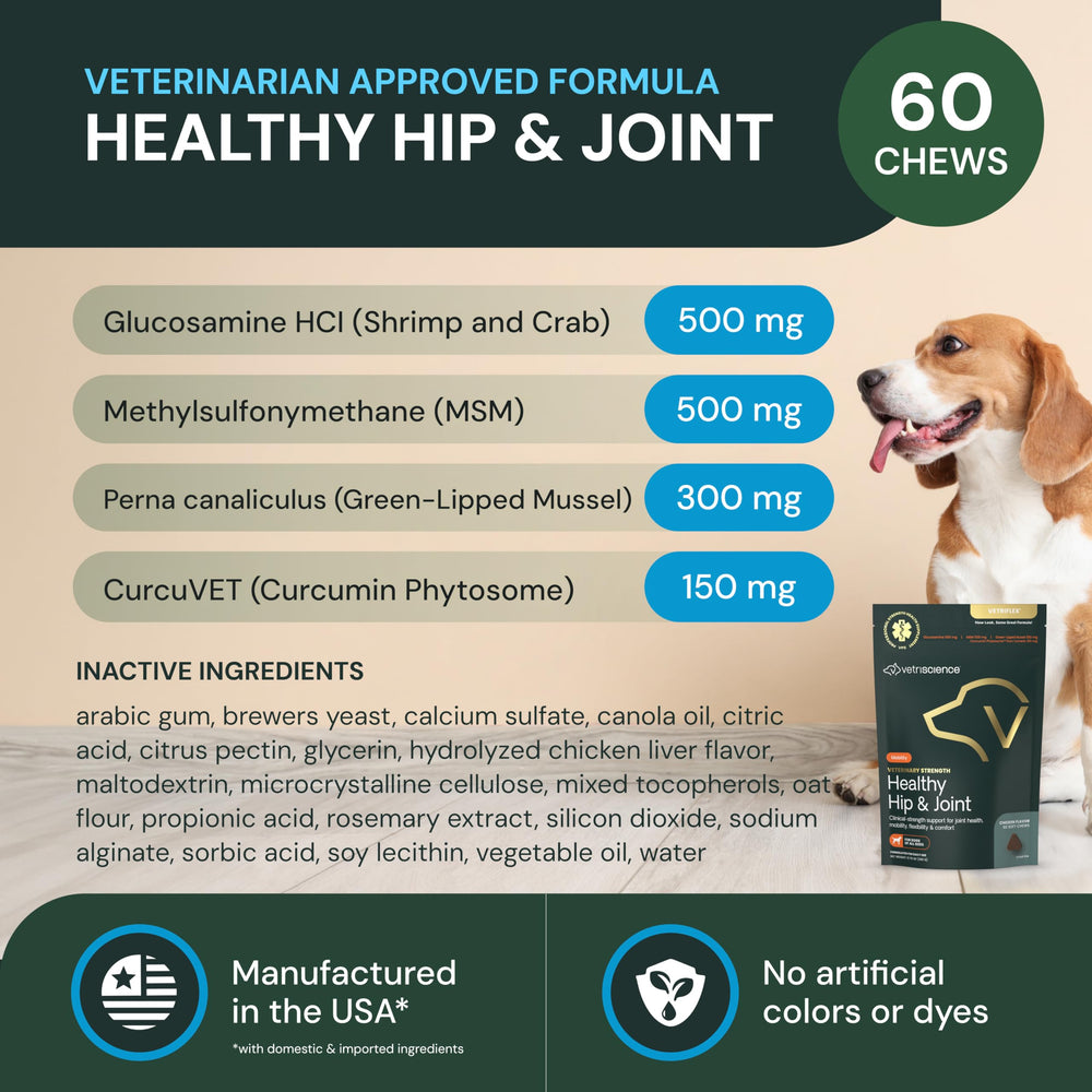 VetriScience dog eating chews scene suggests palatability and movement support.