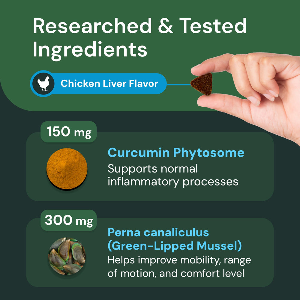 VetriScience dog movement with chews indicates routine joint wellness support.