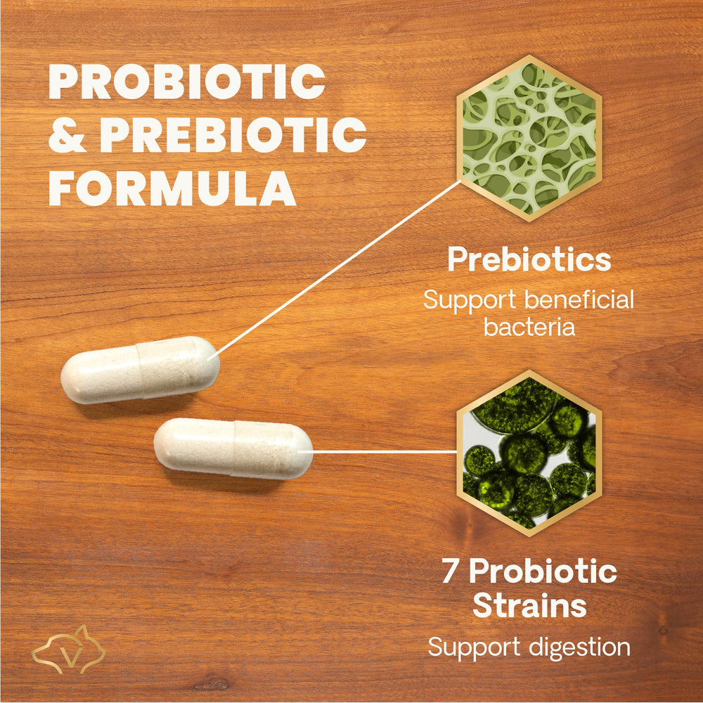 VetriScience Fructooligosaccharides feature prebiotic support for gut microbes.