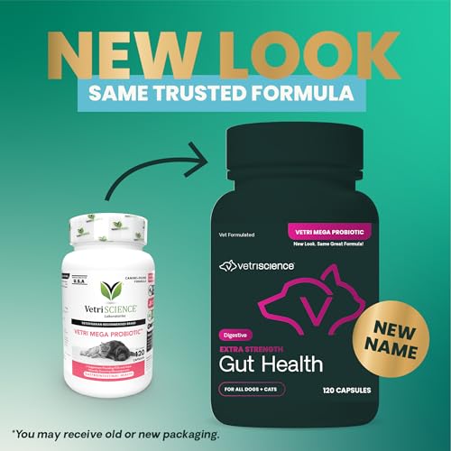 VetriScience gut health bottle label shows NASC-certified probiotic quality.