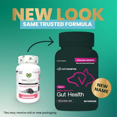 VetriScience gut health bottle label shows NASC-certified probiotic quality.