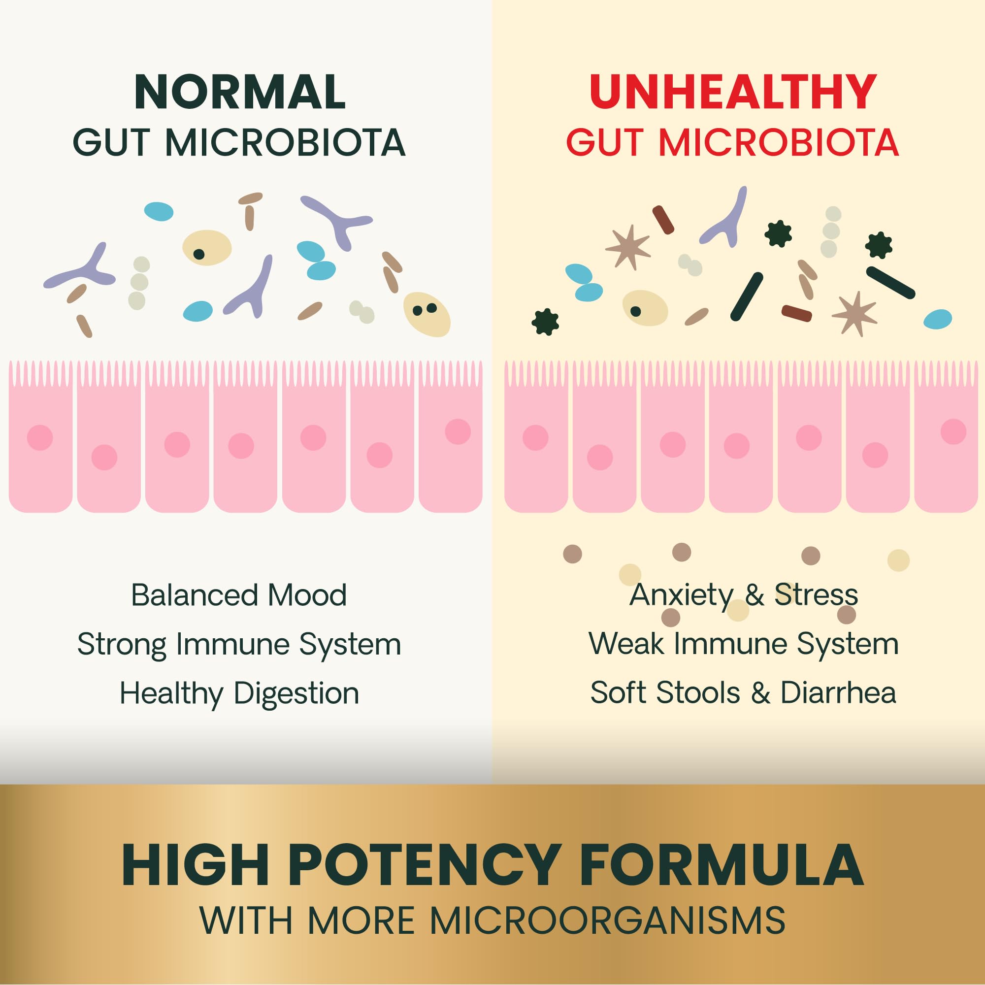 VetriScience Gut Health for cats image shows calm, balanced cat with digestive support