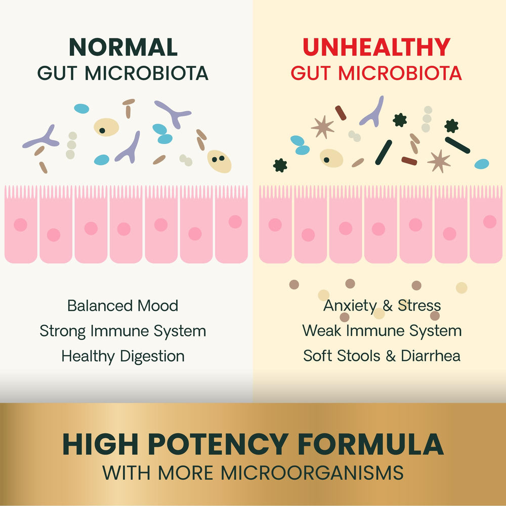 VetriScience Gut Health for cats image shows calm, balanced cat with digestive support