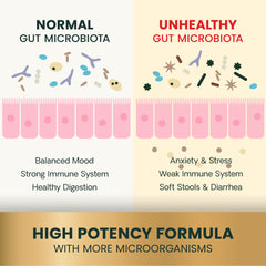 VetriScience Gut Health for cats image shows calm, balanced cat with digestive support
