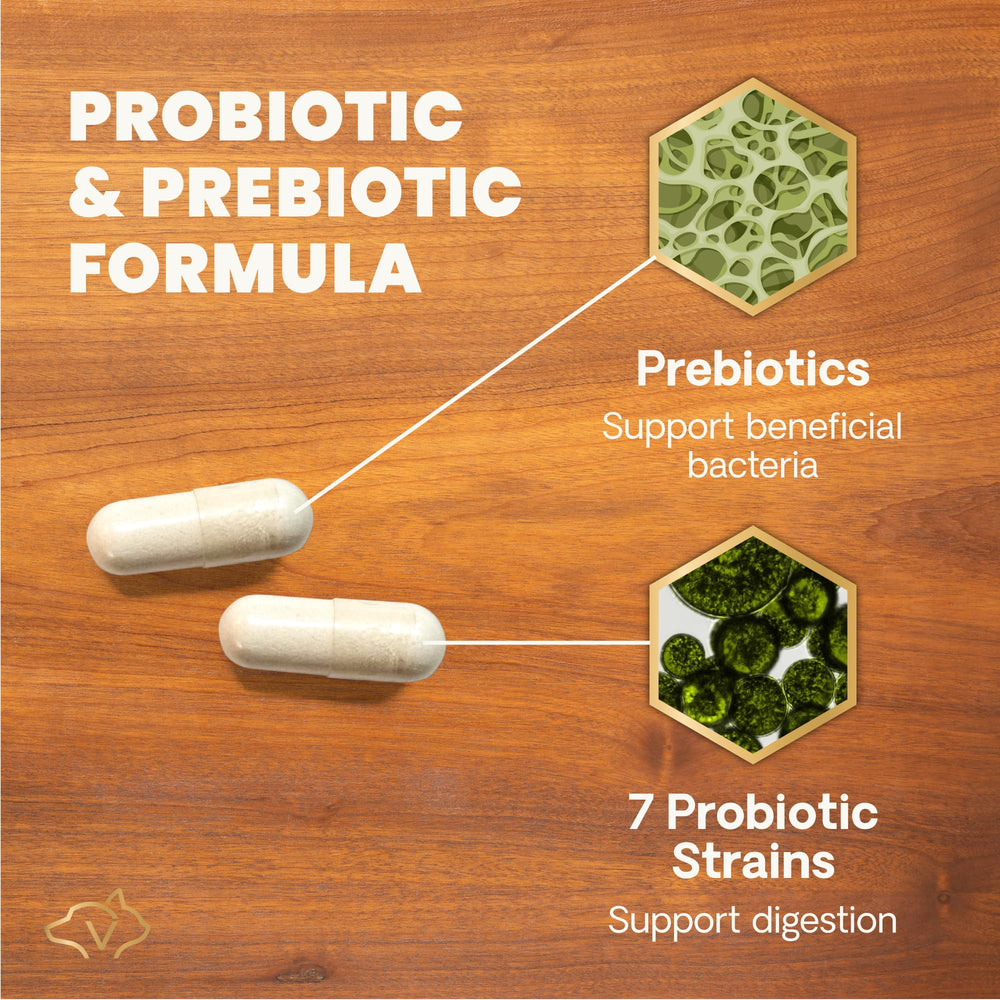 VetriScience Gut Health for dogs image features a content-looking dog after meals