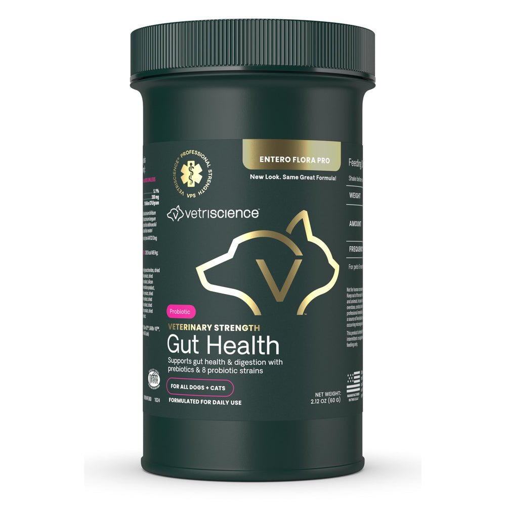 VetriScience Gut Health Powder bottle with scoop supports digestion in dogs and cats.