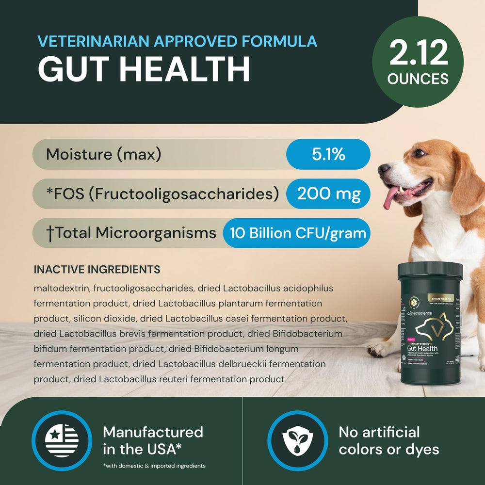 VetriScience Gut Health Powder jar beside pet bowl for daily immune support.