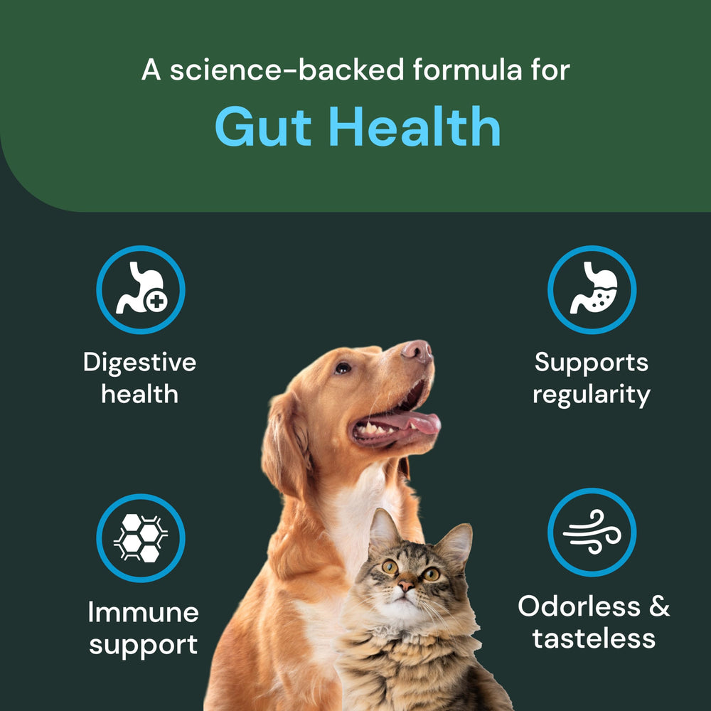 VetriScience Gut Health Powder packaging shows odorless formula for discreet use.