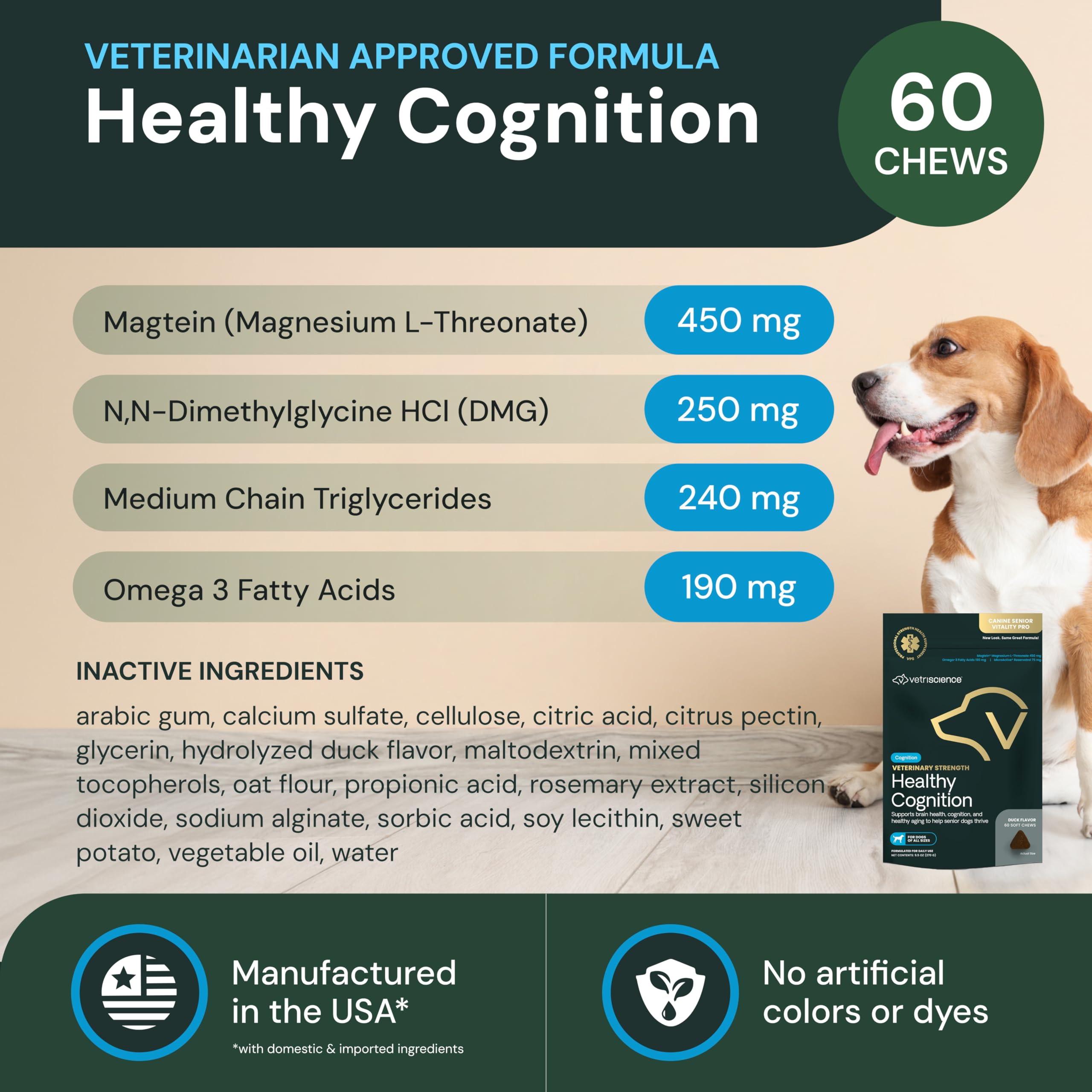 VetriScience Healthy Cognition chews dog after walk ready for rest.