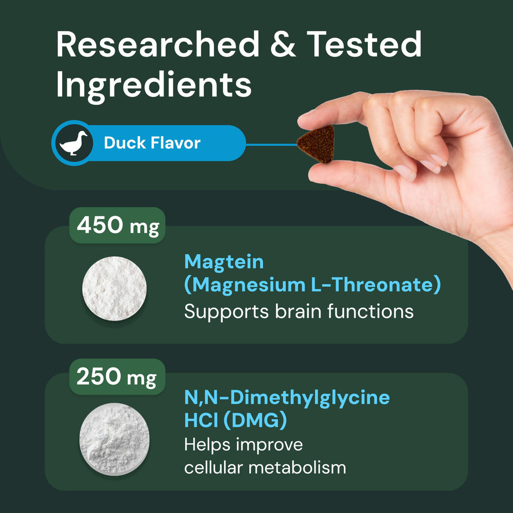 VetriScience Healthy Cognition chews close-up texture details.